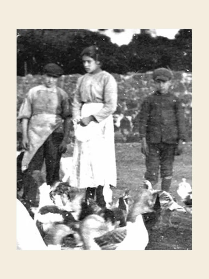 Santa Maria Goretti, 6 de julho
